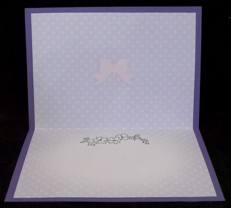 Pretty Soft Dots Insert A5 Landscape by Suzi Cooper