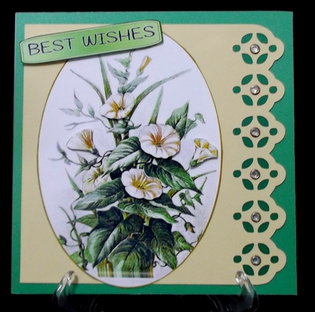 Border Card Edge 9 by Suzi Cooper