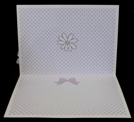 Pretty Dots A5 Landscape Insert by Suzi Cooper