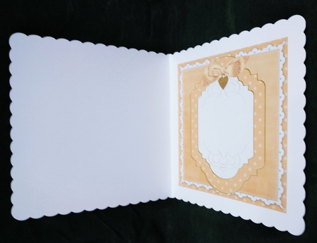 Borange Christmas Plain 7in x 7in Square Insert Panel Sheet by Suzi Cooper