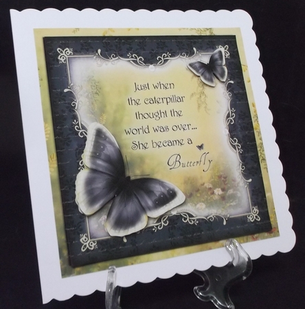 Lemon Butterfly by Suzi Cooper