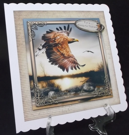 Flight of the Eagle by Suzi Cooper