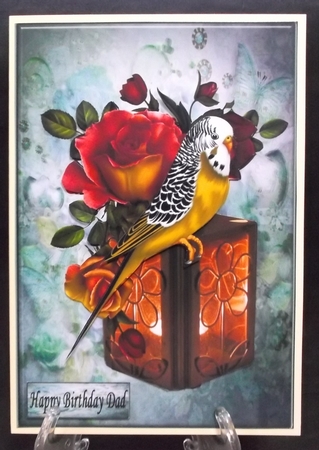 Colourful Budgie Bird Mini Kit by Suzi Cooper