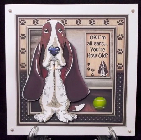 Ok I'm All Ears You're How Old? by Suzi Cooper