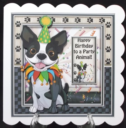 Party Animal by Suzi Cooper
