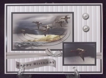 Ducks in Flight by Suzi Cooper