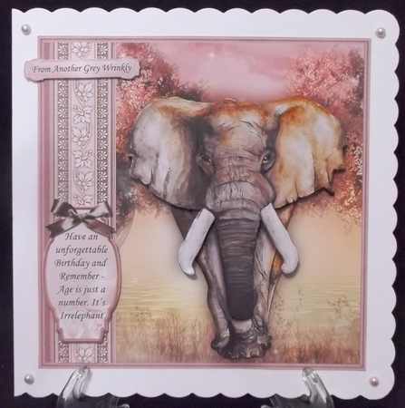 FEMALE ELEPHANT Age is Just a Number 8x8 Birthday Decoupage Mini Kit by Suzi Cooper