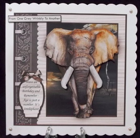 MALE ELEPHANT Age is Just a Number 8x8 Birthday Decoupage Mini Kit by Suzi Cooper