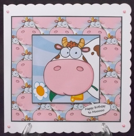 mooooooooo by Suzi Cooper