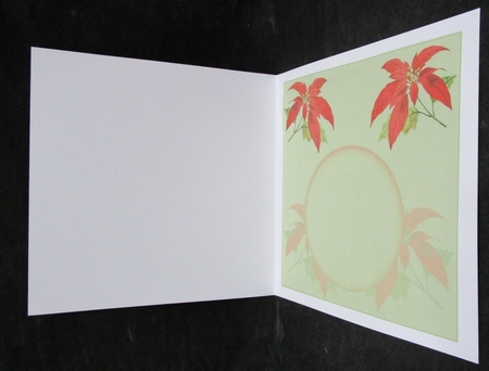 robins at christmas insert by Suzi Cooper