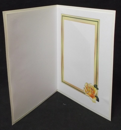 Golden Satin and Roses - Insert by Suzi Cooper