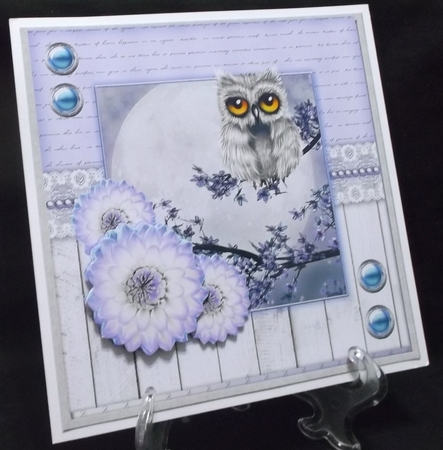 Snowy Owl by Suzi Cooper