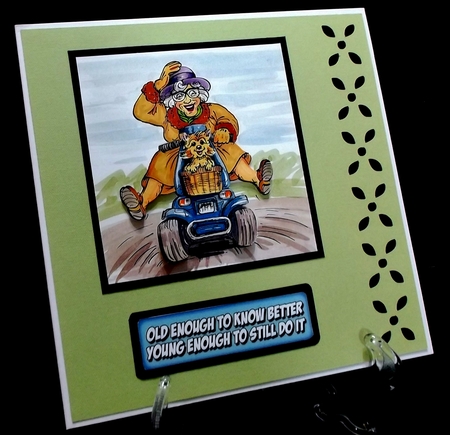 BORDER CARD 4 by Suzi Cooper