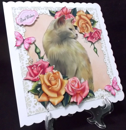 Beautiful Cream Cat With Roses 8x8 Mini Kit by Suzi Cooper