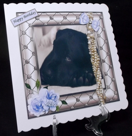 BLACK LABRADOR LOVE by Suzi Cooper