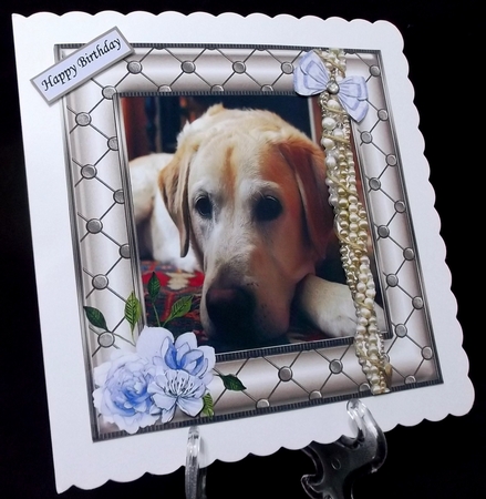 YELLOW GOLDEN LABRADOR LOVE by Suzi Cooper