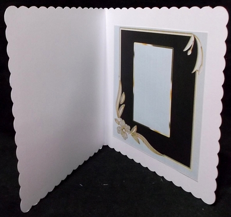 Green & Gold Frame Insert by Suzi Cooper