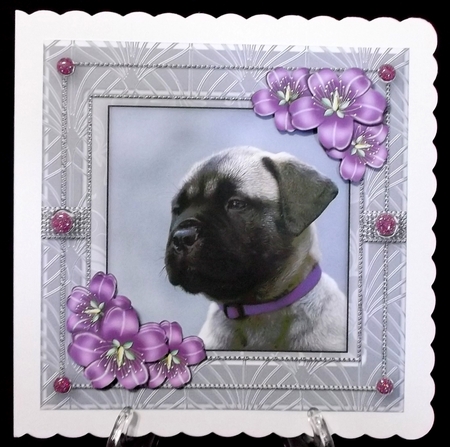 Puppy Love  Card Topper by Suzi Cooper