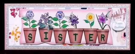 large dl pot plant names SISTER by Suzi Cooper