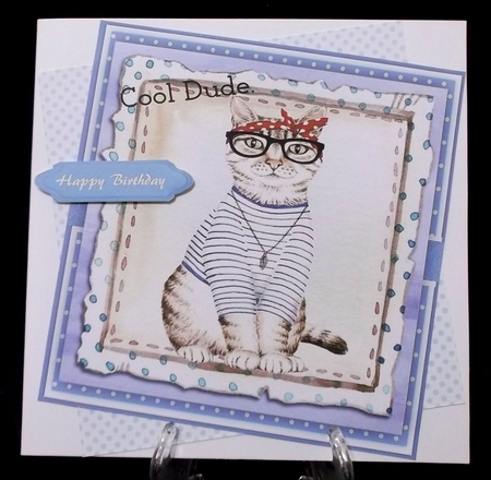 Beautiful Cool Dude Cat   by Suzi Cooper