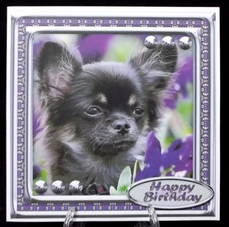 JJ LOVE MY DOG CHIHUAHUA 8X8 by Suzi Cooper