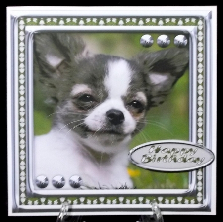 JJ LOVE MY DOG CHIHUAHUA 2 8X8 by Suzi Cooper