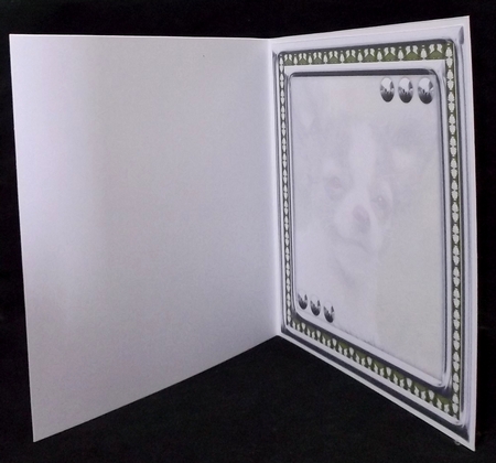 JJ LOVE MY DOG CHIHUAHUA 2 8X8 INSERT BLANK by Suzi Cooper