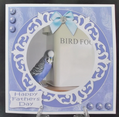 BLUE BUDGIE, BIRTHDAY AND OTHER SENTIMENTS by Suzi Cooper