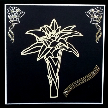 FLOWER OVER THE EDGE 8 by Suzi Cooper