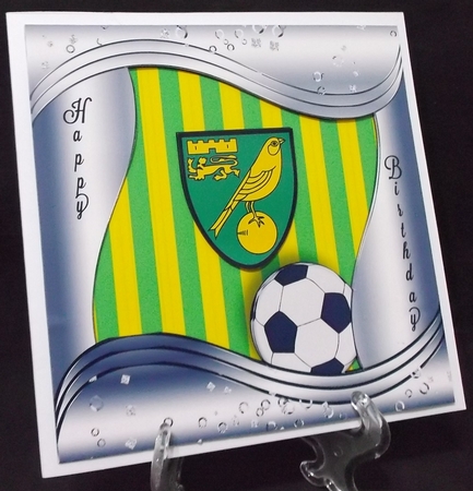 Special Ages Football - Insert 7 by Suzi Cooper