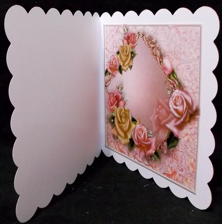 rose framed insert by Suzi Cooper