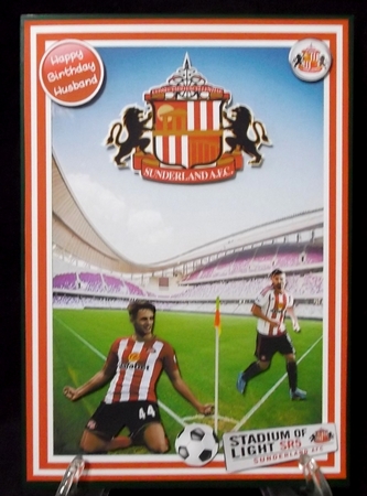 Football - Sunderland by Suzi Cooper