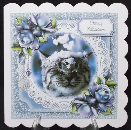 Winter Cat 2 by Suzi Cooper