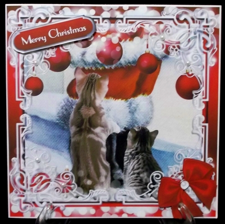 Is it Really Him? Quick Topper by Suzi Cooper