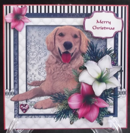 Golden Retriever in the Amaryllis Bloom at Christmas by Suzi Cooper