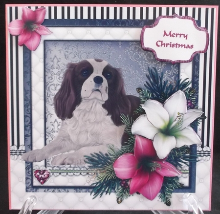 King Charles Spaniel in the Amaryllis Bloom at Christmas by Suzi Cooper