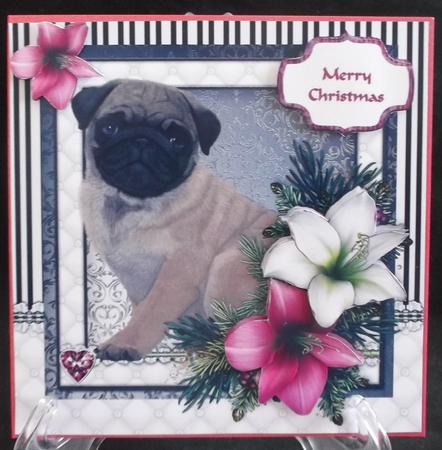 Pug in the Amaryllis Bloom at Christmas by Suzi Cooper