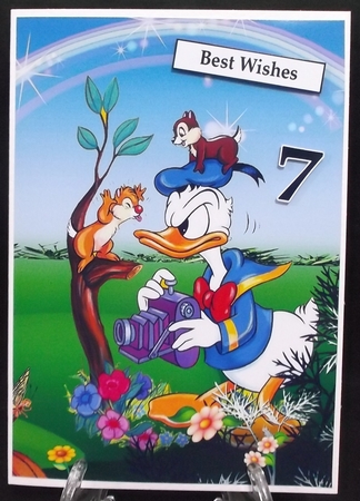 Donald Duck A5 Quick Card by Suzi Cooper