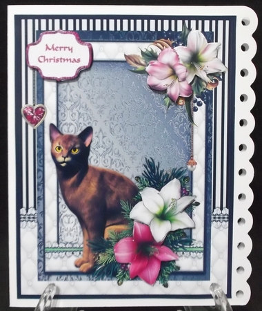 Abyssinian cat in the Christmas flowers by Suzi Cooper