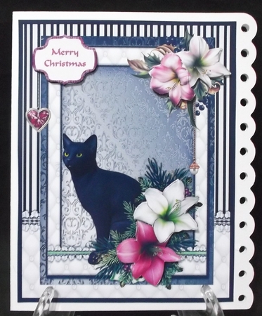 Black cat in the Christmas flowers by Suzi Cooper