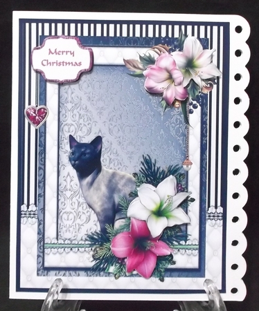 Blue Siamese cat in the Christmas flowers by Suzi Cooper
