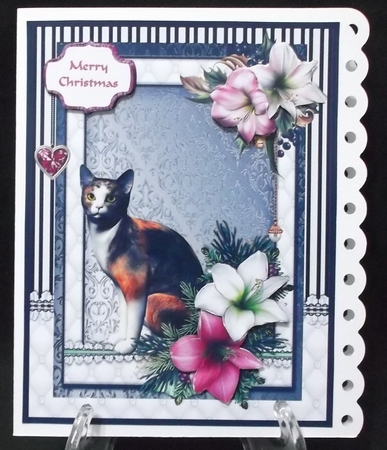 Calico cat in the Christmas flowers by Suzi Cooper