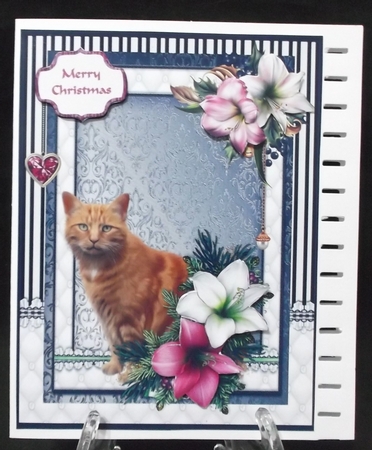 Ginger cat in the Christmas flowers by Suzi Cooper
