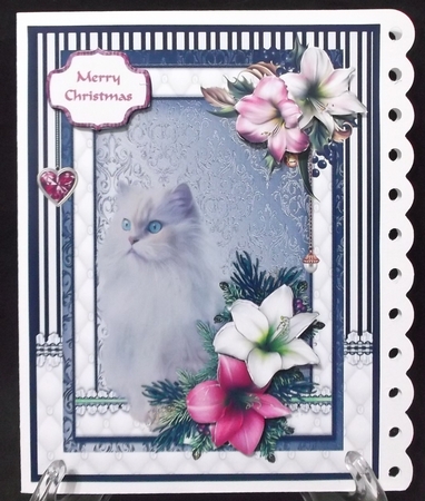 White Fluffy cat in the Christmas flowers by Suzi Cooper