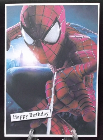 Spiderman 5 A5 Quick Card by Suzi Cooper
