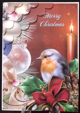 Christmas Robin Deckle Edge Stacker Red by Suzi Cooper