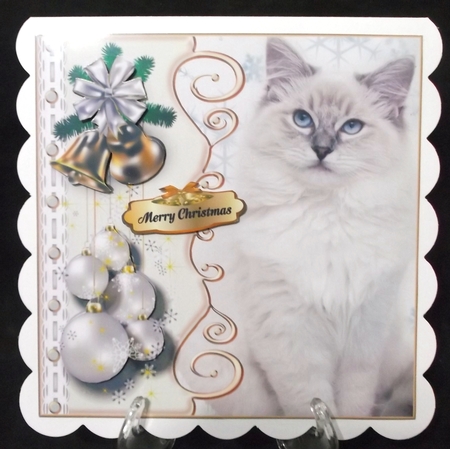 Sweet White Cat by Suzi Cooper