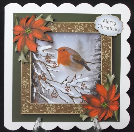 The Robin In Winter by Suzi Cooper