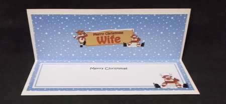 large DL Merry Christmas WIFE with Rudolph insert by Suzi Cooper
