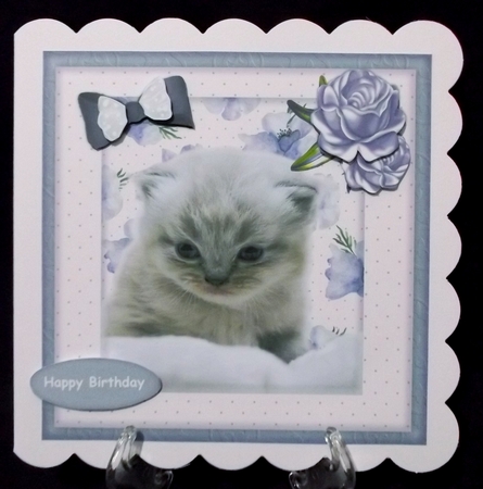 Cute Kitten card Topper by Suzi Cooper